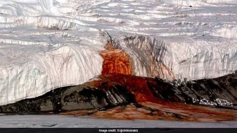 Ancient Marine Life Found In Antarctica's 'Blood Falls' As Scientists Uncover Its Secrets
